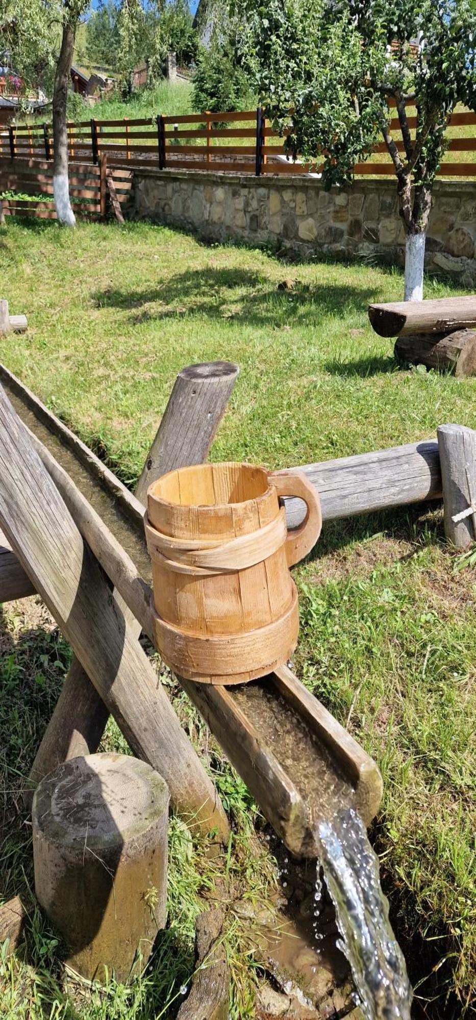 Отель Casa Agroturistica Tarancuta Din Ватра Молдовицей Экстерьер фото